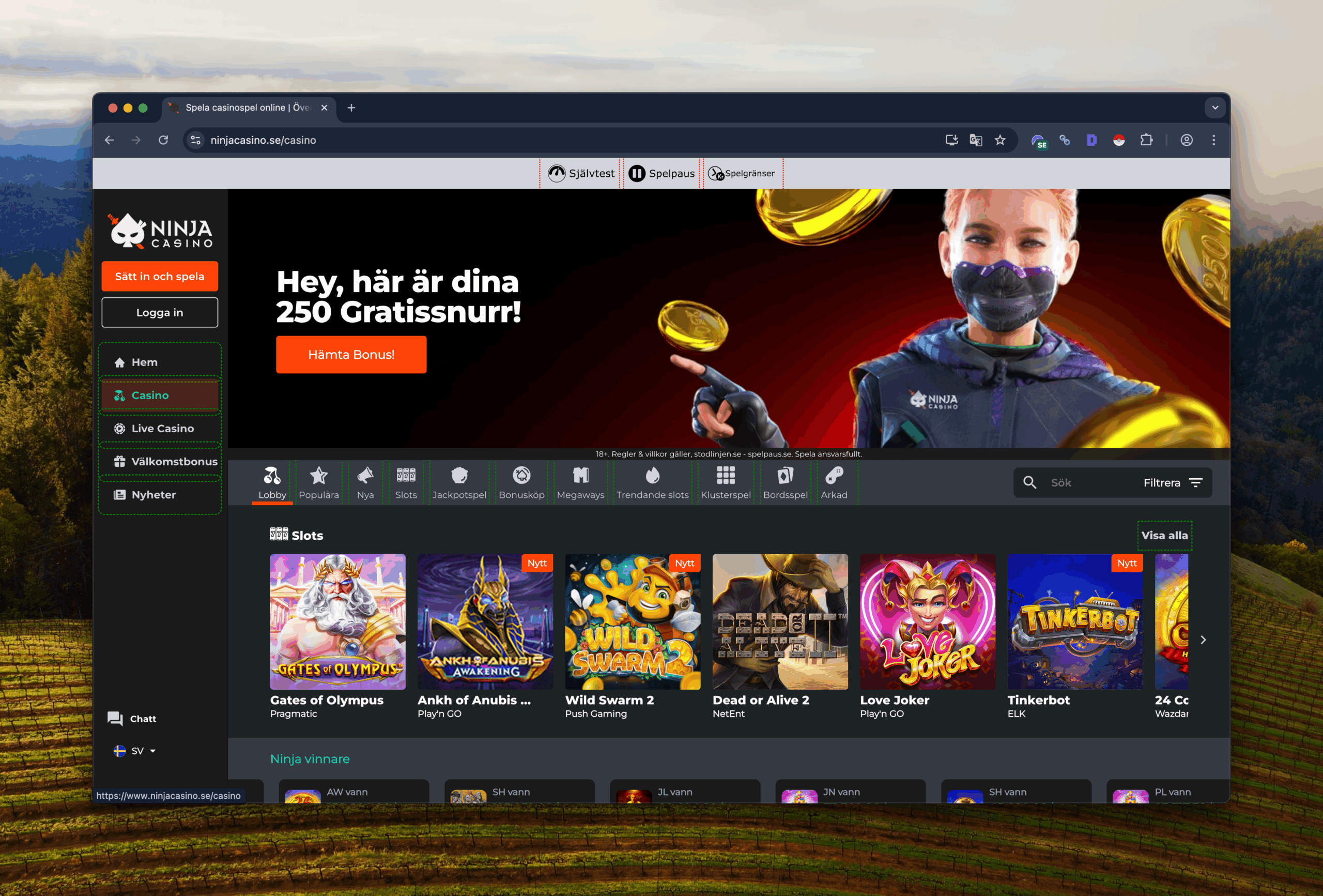 spelavinst-ninjacasino-recensioner2@2x spelavinst-ninjacasino-recensioner
