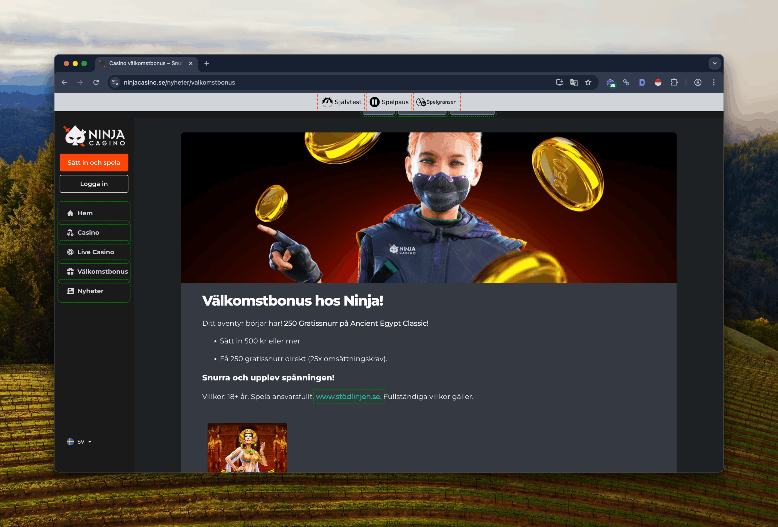 spelavinst-ninjacasino-recensioner8@2x spelavinst-ninjacasino-recensioner