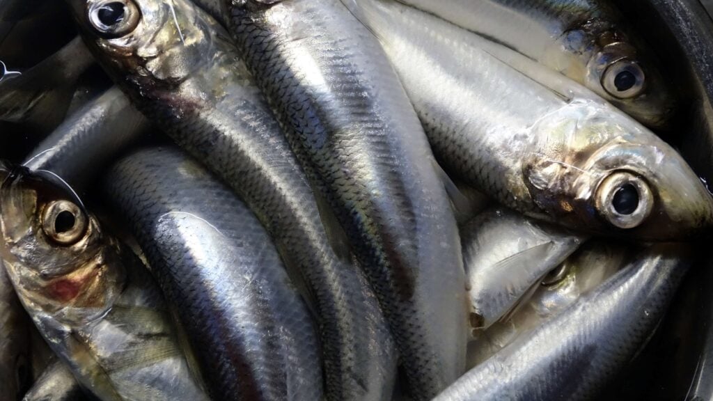 upplev en dyster prognos med djupgående analyser och insikter om framtida utmaningar. få en klar bild av kommande händelser och hur de kan påverka vår värld.