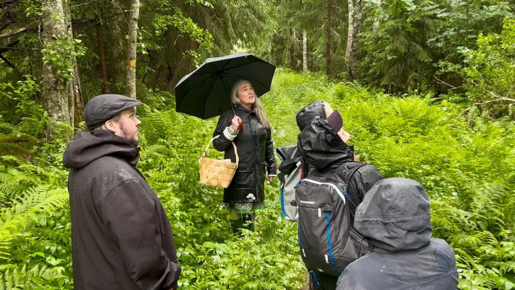 hilda arhammar ansluter till helsingfors: upptäck den inspirerande berättelsen om hilda och hennes nya äventyr i helsingfors, där hon förenas med passionerade människor och skapar nya möjligheter för framtiden.