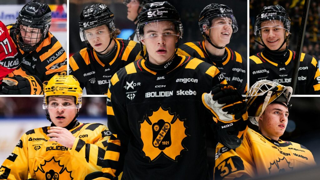 upptäck de senaste kvartalsrapporterna för sde och skellefteå aik. få insikter om prestationer, finansiella resultat och framtidsutsikter för dessa två framstående organisationer.