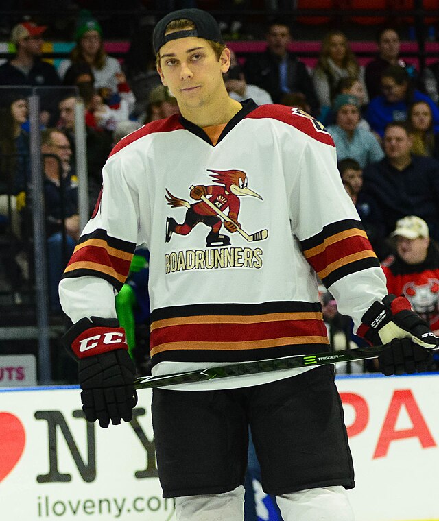 liam valdes, en fränder av nhl, är en ung och lovande talang inom ishockeyvärlden. utforska hans prestationer, karriär och framtid inom ligan som han strävar efter att dominera.