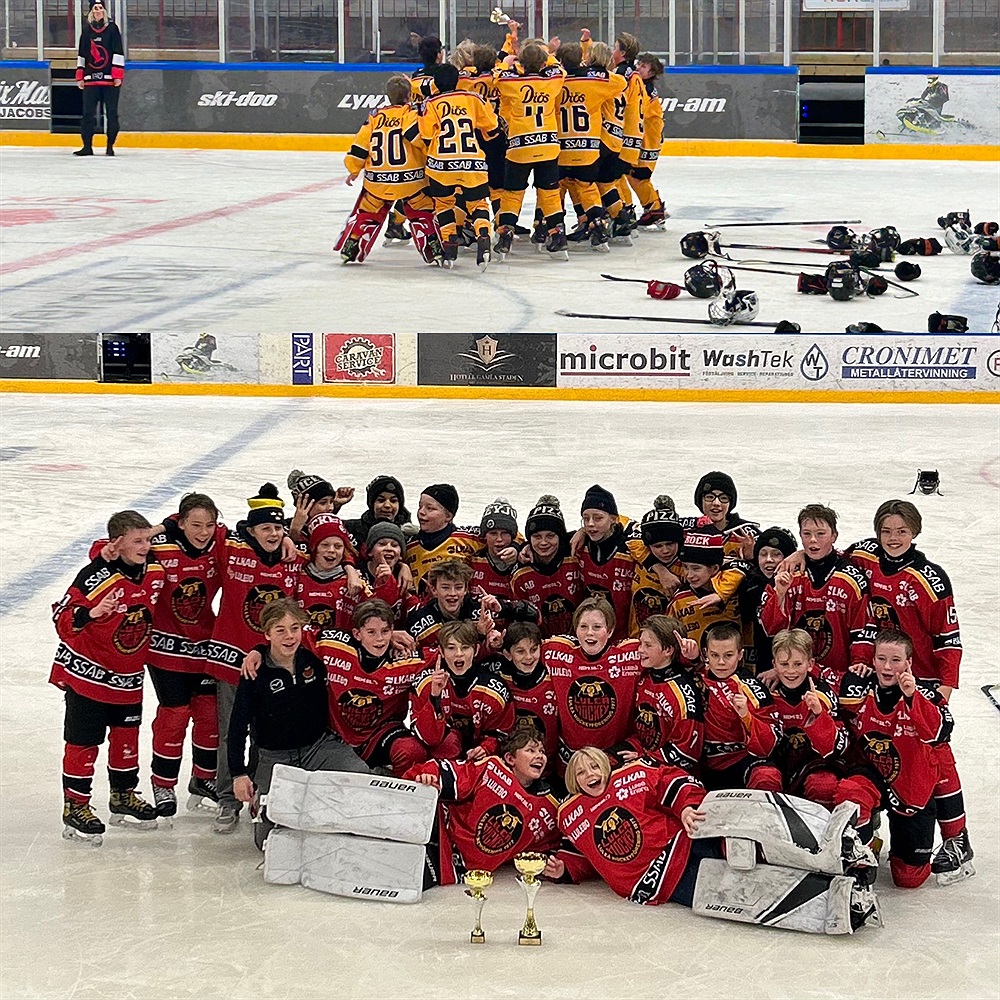 planera din drömresa till luleå för att se luleå hockey spela. upplev den svenska hockeykulturen, engagera dig i den elektriska atmosfären och njut av spektakulära matcher i en unik miljö.