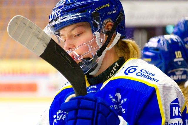 följ maloney's resa till leksands if! upptäck hans prestationer, mål och hur han bidrar till lagets framgångar i hockeyligan. håll dig uppdaterad med de senaste nyheterna och analyserna.