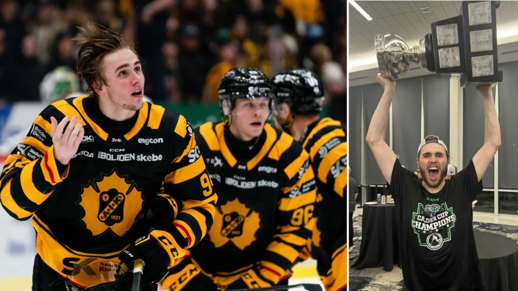 upptäck de mest spännande ögonblicken från slutspelet i svensk hockey! följ med på en resa genom intensivt spel, dramatiska matcher och fantastiska prestationer av sveriges bästa lag. missa inte chansen att vara en del av hockeyäventyret!