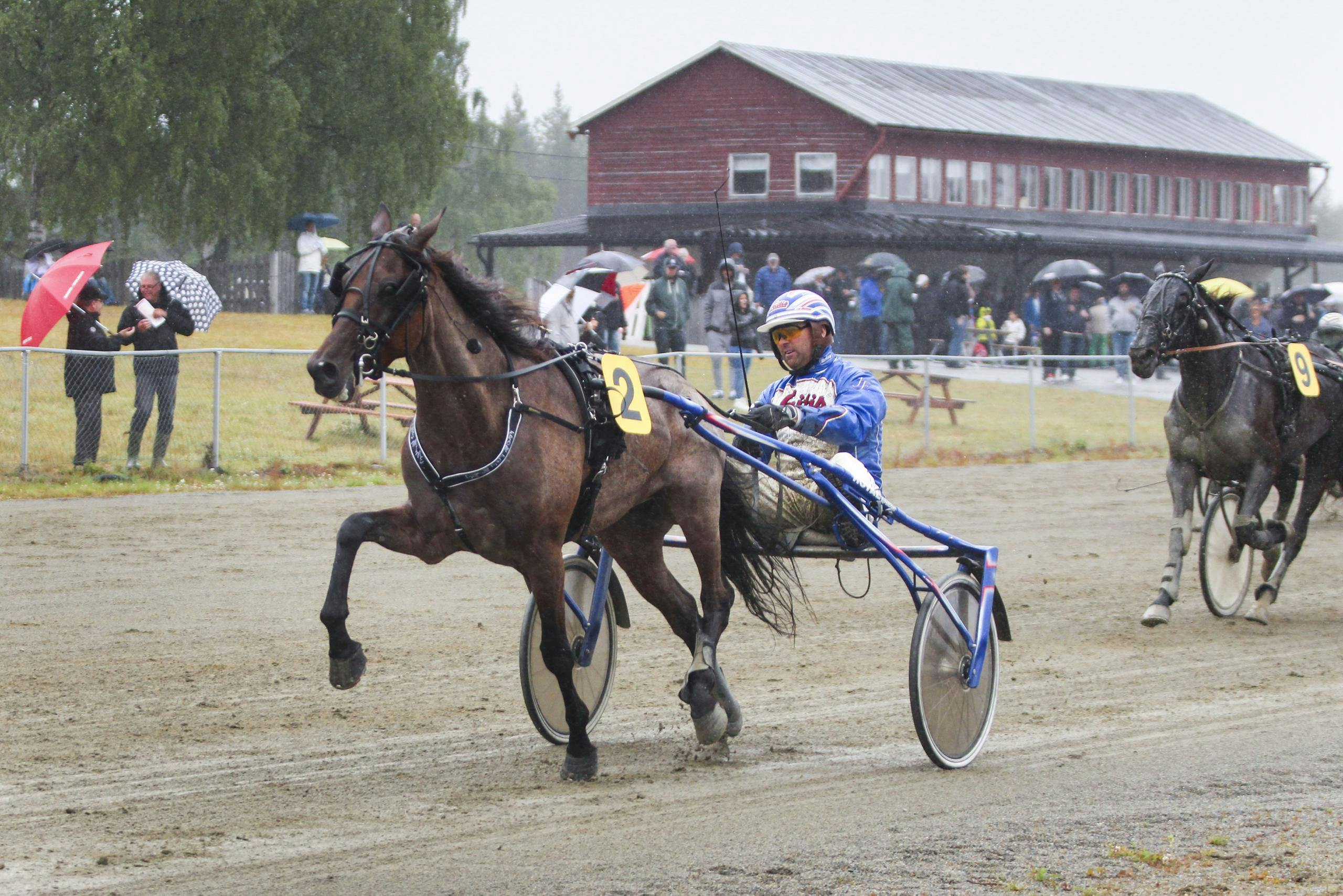 följ de senaste resultaten från v64-loppen. få detaljerad information om resultat, vinnare och utdelningar för att maximera din spelupplevelse.