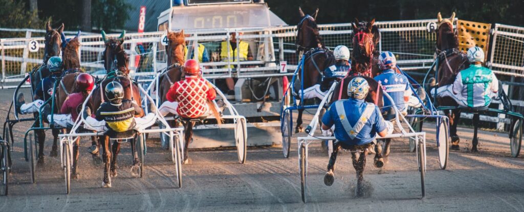 upptäck djupgående insikter och analyser med v86-analys. få strategiska tips och rekommendationer för att maximera dina spelframgångar på v86-loppen. håll dig informerad och ta smartere beslut med vår expertanalys.