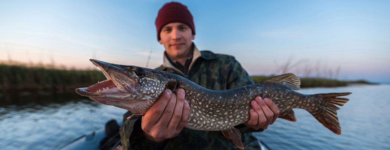 upptäck de bästa metoderna för gäddfiske och de mest natursköna vägarna för att nå dina fiskeplatser. lär dig allt om gäddans beteende och få tips för en lyckad fiskeupplevelse.