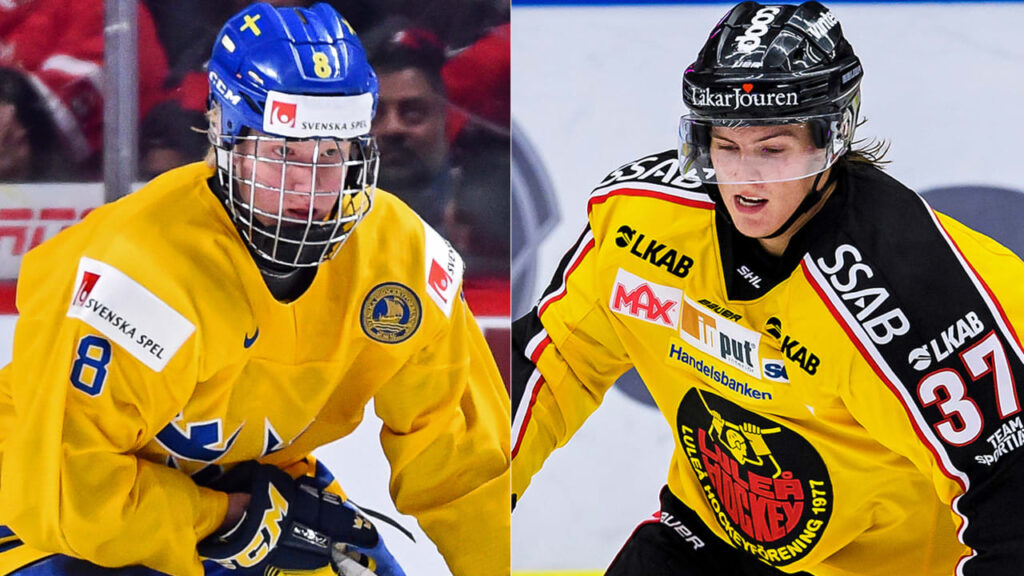 upptäck luleås största talanger inom olika områden. läs om unga stjärnor, framtidens hopp och hur luleå utvecklar sina talanger till framgångsrika individer.