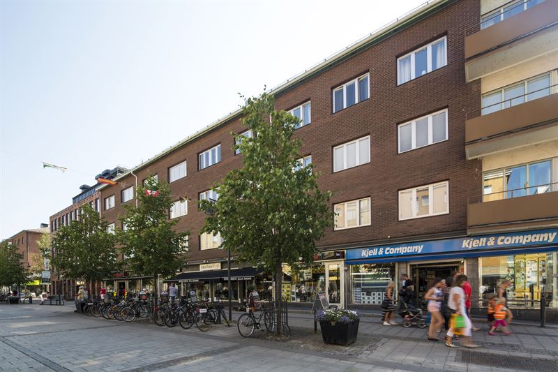 upptäck stödkulturen i luleå – lär dig mer om lokala initiativ, nätverk och möjligheter för personlig och professionell utveckling i denna norrländska stad.