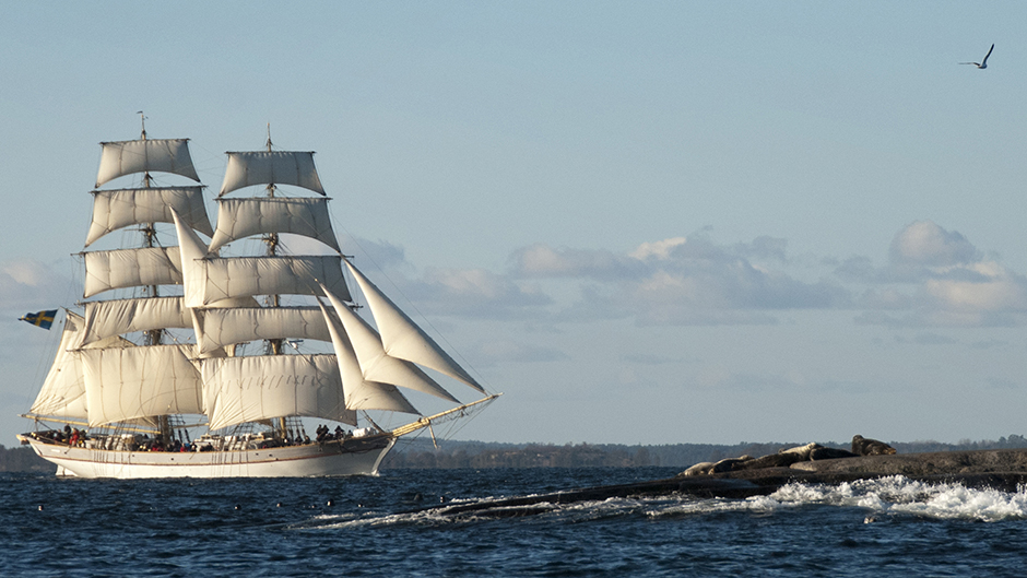 läs om tre kronor damers senaste match där de åkte på ett nederlag. få detaljer om resultatet, matchens höjdpunkter och vad som väntar laget framöver.
