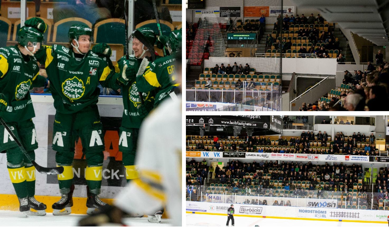 upptäck hur björklöven utmanar reglerna och förändrar svensk ishockey. läs mer om klubbens innovativa strategier och påverkan på sporten.