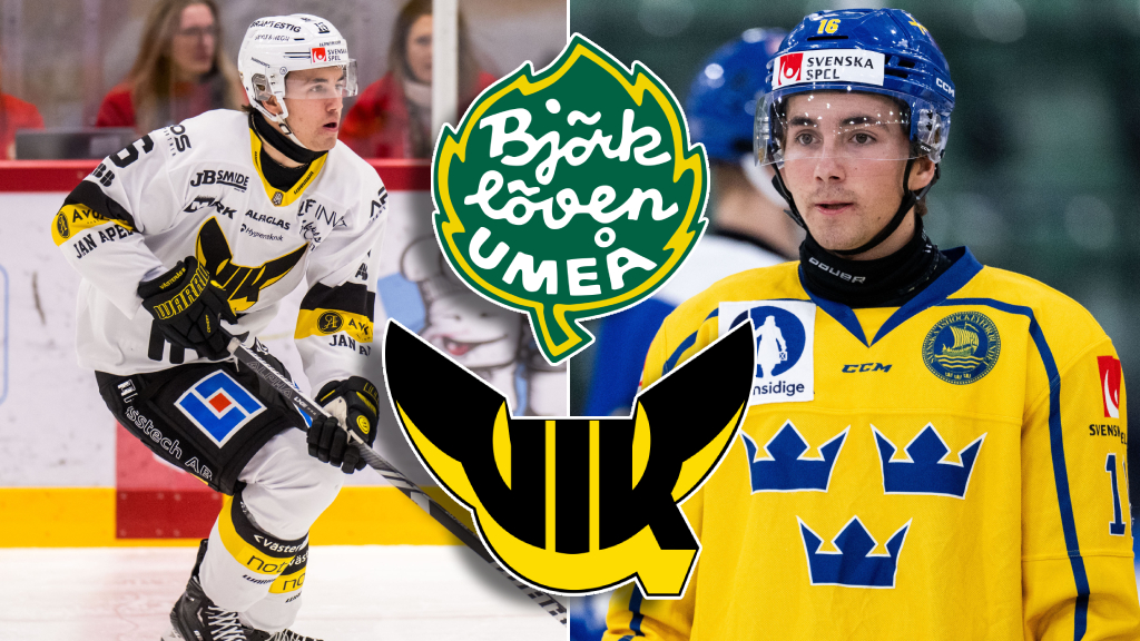 upptäck hur björklöven utmanar regler inom svensk ishockey. följ de senaste händelserna och kontroverserna kring lagets strategi och beslut på och utanför isen.