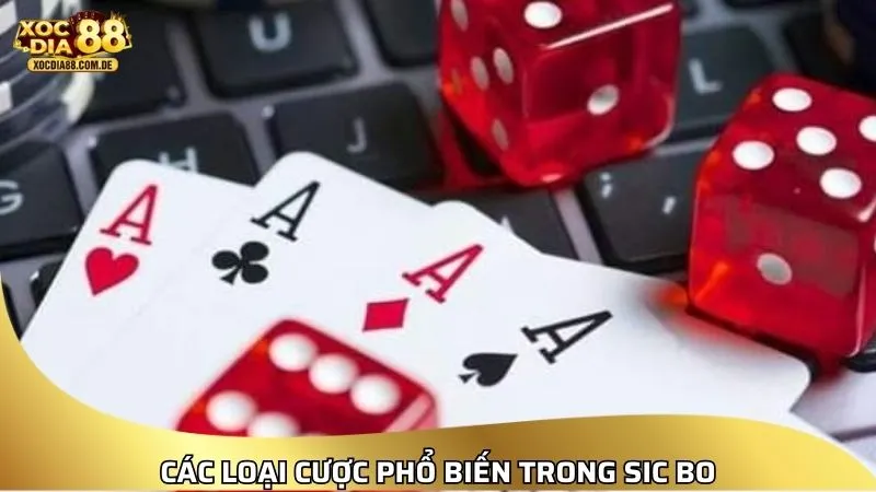 XOCDIA88 – LINK XÓC ĐĨA 88 | CHƠI XÓC ĐĨA ONLINE MIỄN PHÍ [2026]