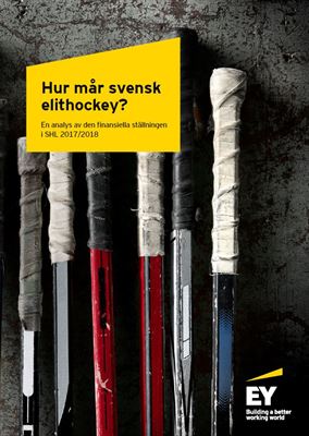 lär dig allt om eget kapital i shl-klubbar. vi förklarar vad det innebär, varför det är viktigt och hur det påverkar klubbarnas ekonomi i svenska hockeyligan.
