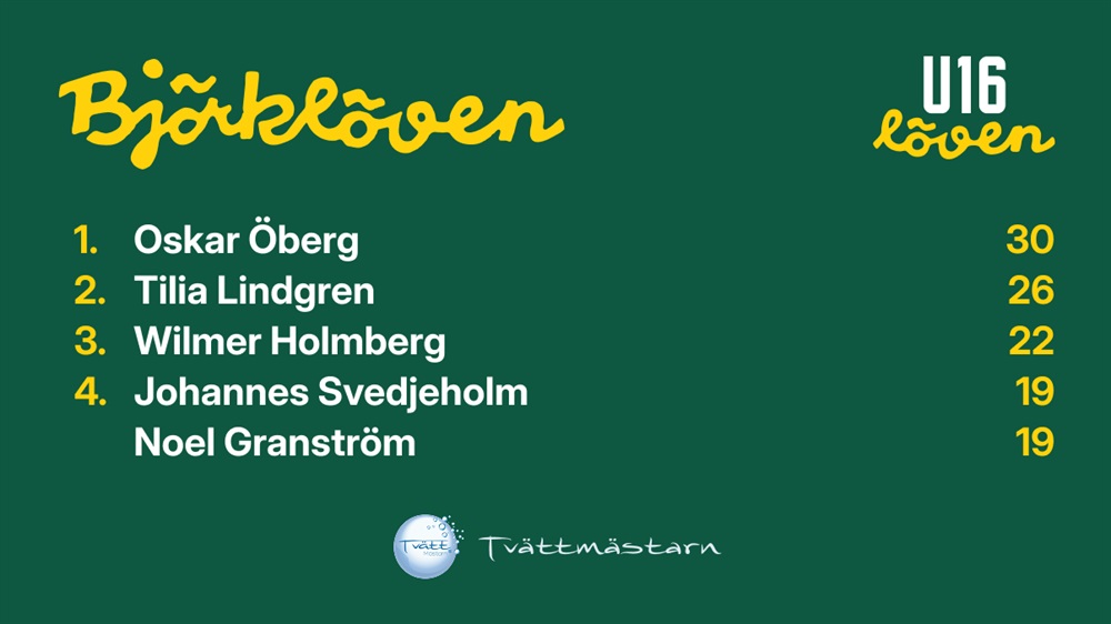 upptäck fem viktiga insikter från matchen mellan löven och skellefteå. analys, höjdpunkter och avgörande ögonblick som påverkade resultatet.