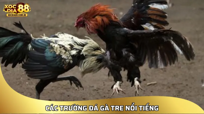 XOCDIA88 – LINK XÓC ĐĨA 88 | CHƠI XÓC ĐĨA ONLINE MIỄN PHÍ [2026]