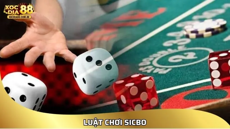 XOCDIA88 – LINK XÓC ĐĨA 88 | CHƠI XÓC ĐĨA ONLINE MIỄN PHÍ [2026]