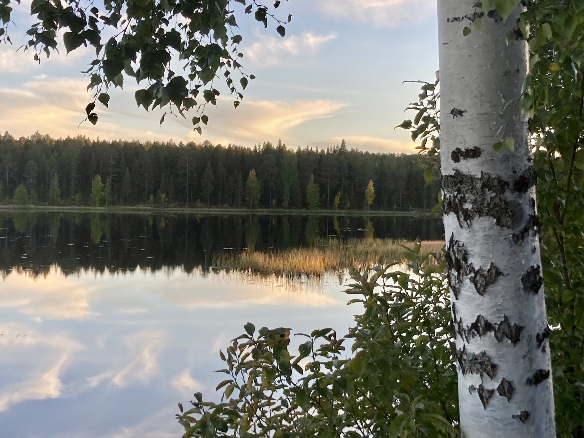 upptäck hur lugnet väcker nyfikenhet och inspirerar till nya perspektiv. låt dig fascineras av stillhetens kraft och öppna dörren till inre harmoni och insikt.