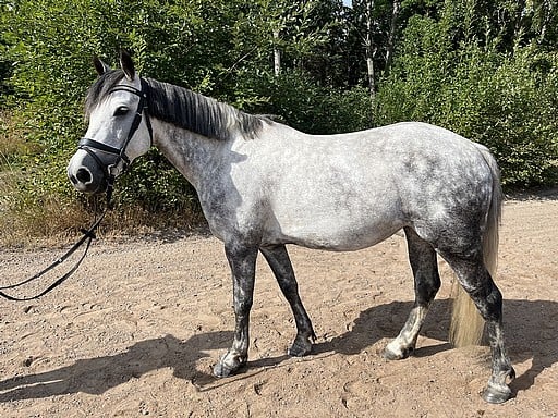 läs nyheten om att rönningen utesluts. upptäck orsakerna bakom beslutet och vad det betyder för framtiden. få de senaste uppdateringarna här.