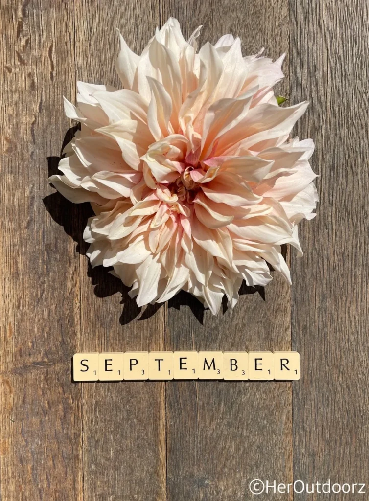 upptäck allt om september – årets första höstmånad. läs om traditioner, väder, aktiviteter och vad som gör september speciell i sverige.