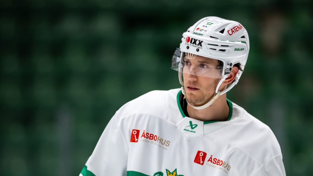 upptäck spelarnas egna perspektiv på poängligan och hur de ser på tävlingen om flest poäng. läs mer för unika insikter direkt från isen.