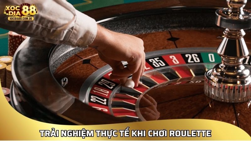 XOCDIA88 – LINK XÓC ĐĨA 88 | CHƠI XÓC ĐĨA ONLINE MIỄN PHÍ [2026]