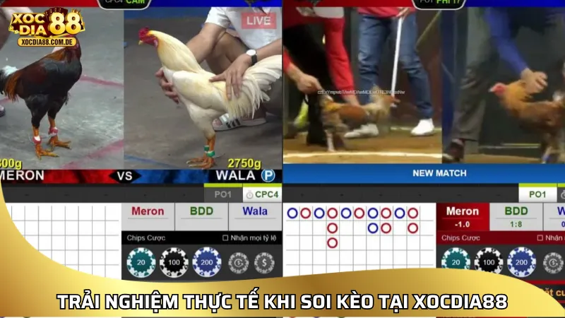 XOCDIA88 – LINK XÓC ĐĨA 88 | CHƠI XÓC ĐĨA ONLINE MIỄN PHÍ [2026]