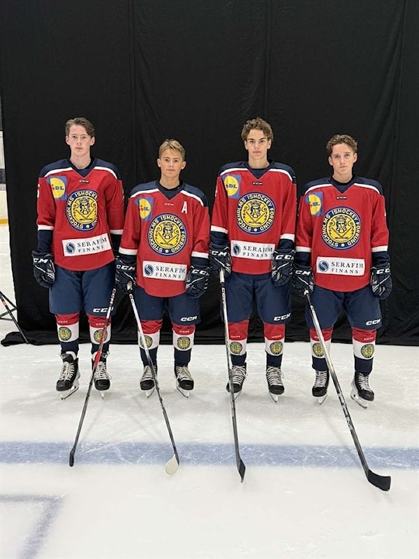 upptäck det kompletta schemat för tv-pucken 2025. få information om matchdatum, tider och spelschema för sveriges största juniorhockeyturnering.