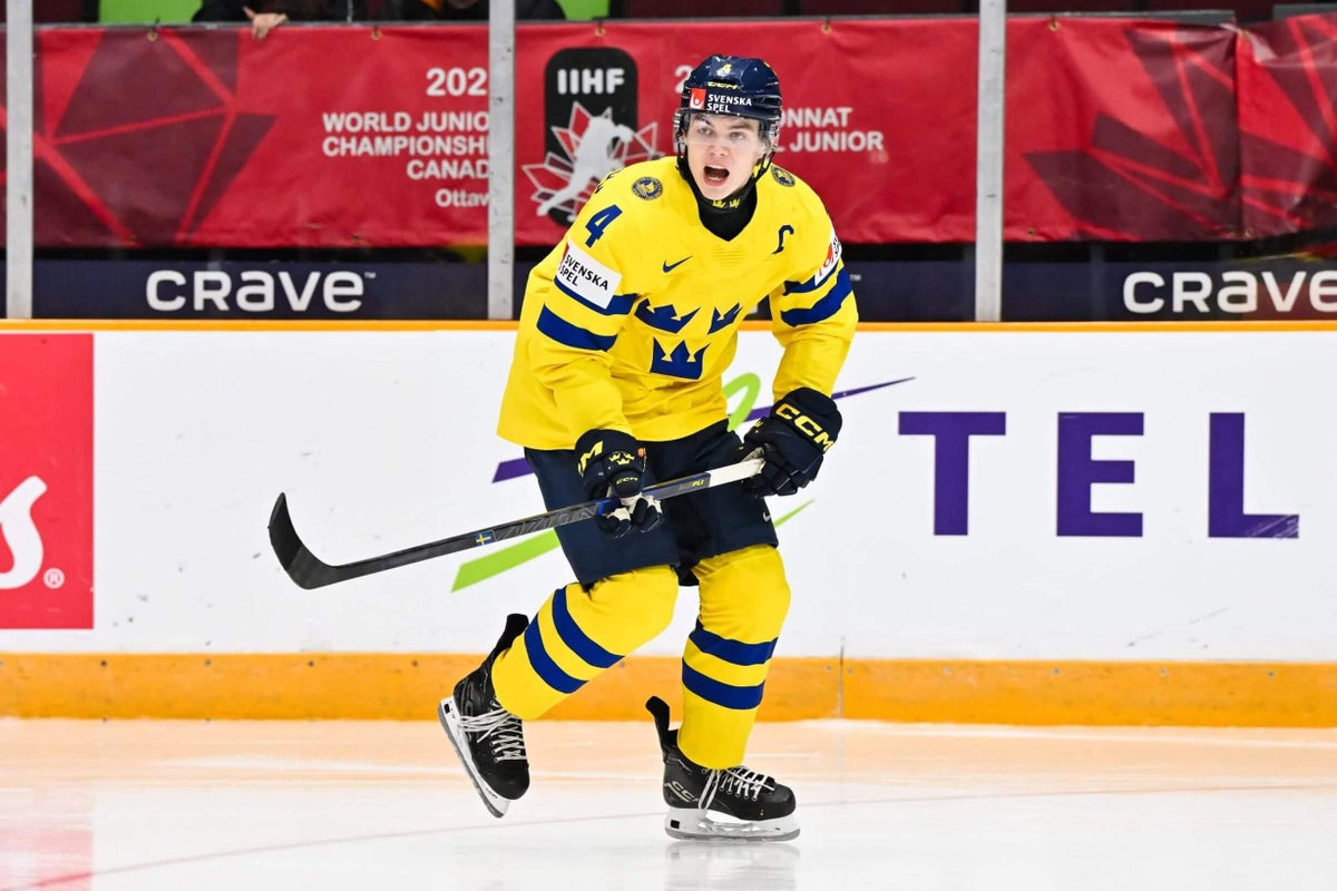 upptäck allt om axel sandin-pellikka, den svenska hockeytalangen som imponerar i nhl. läs om hans karriär, styrkor och framtidsutsikter inom ishockeyvärlden.