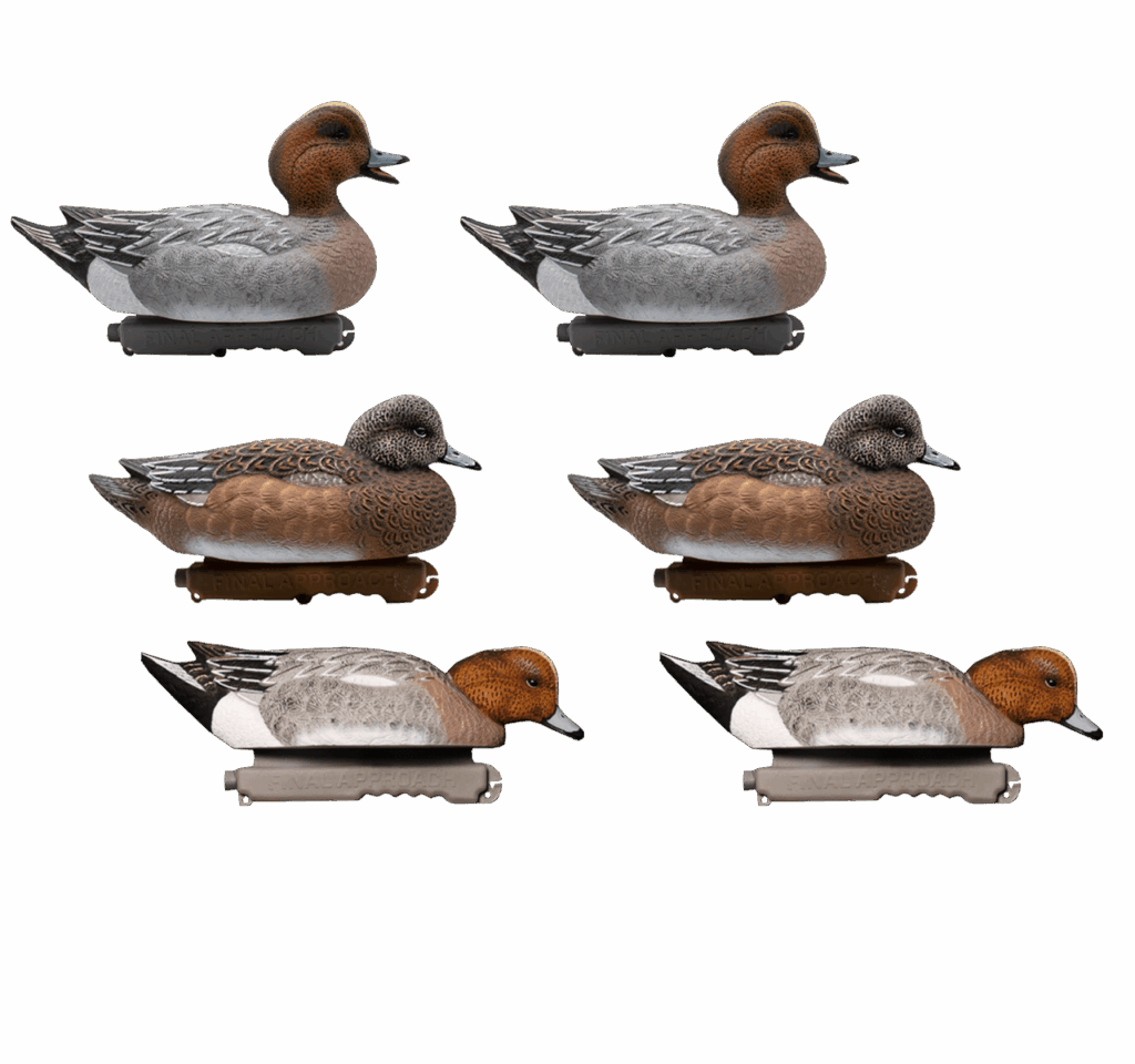 upptäck allt om den spännande bif-sensationen som gör comeback. läs de senaste nyheterna och få insikt om vad som väntar när favoriten återvänder till scenen.