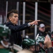 upptäck allt om erika holst, svensk hockeyikon och nuvarande förbundskapten. läs om hennes framgångsrika karriär, ledarskap och insatser inom svensk ishockey.