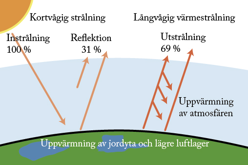 lär dig allt om gevärssiktning – tips, tekniker och utrustning för att förbättra din precision och träffsäkerhet vid skytte. passar både nybörjare och erfarna skyttar.