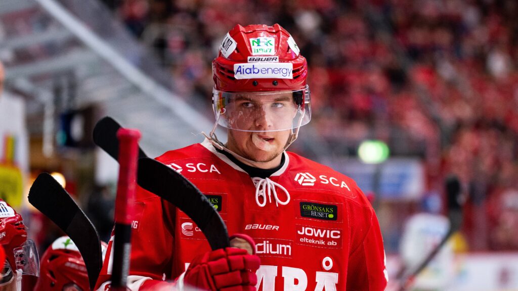 läs om hållanders debutmål i nhl – en historisk ögonblick för den svenska talangen. upptäck hur målet påverkade matchen och framtida möjligheter i ligan.