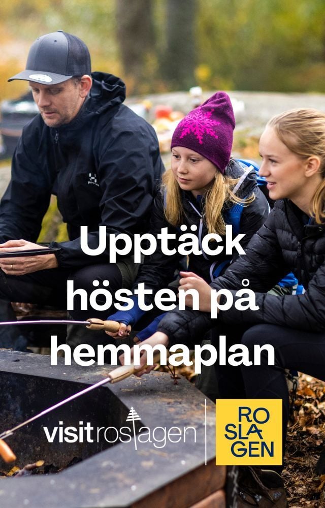 senaste nytt om jansson comeback. läs om återkomsten, prestationerna och framtidsplanerna för jansson. få all information här!