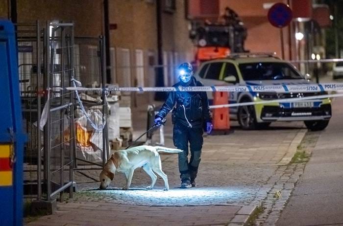 senaste nyheterna om malmö-stjärnans avstängning. läs mer om orsaken, varaktigheten och hur det påverkar laget i kommande matcher.