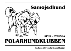 läs vår oktober sammanfattning och få en överblick över månadens viktigaste händelser, insikter och nyheter. perfekt för dig som vill hålla dig uppdaterad!
