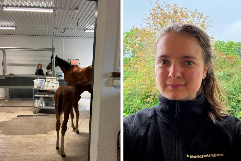 upptäck hur påfrestande och känslosamma situationer kan påverka ditt dagliga liv och få tips på hur du hanterar starka känslor och stress.