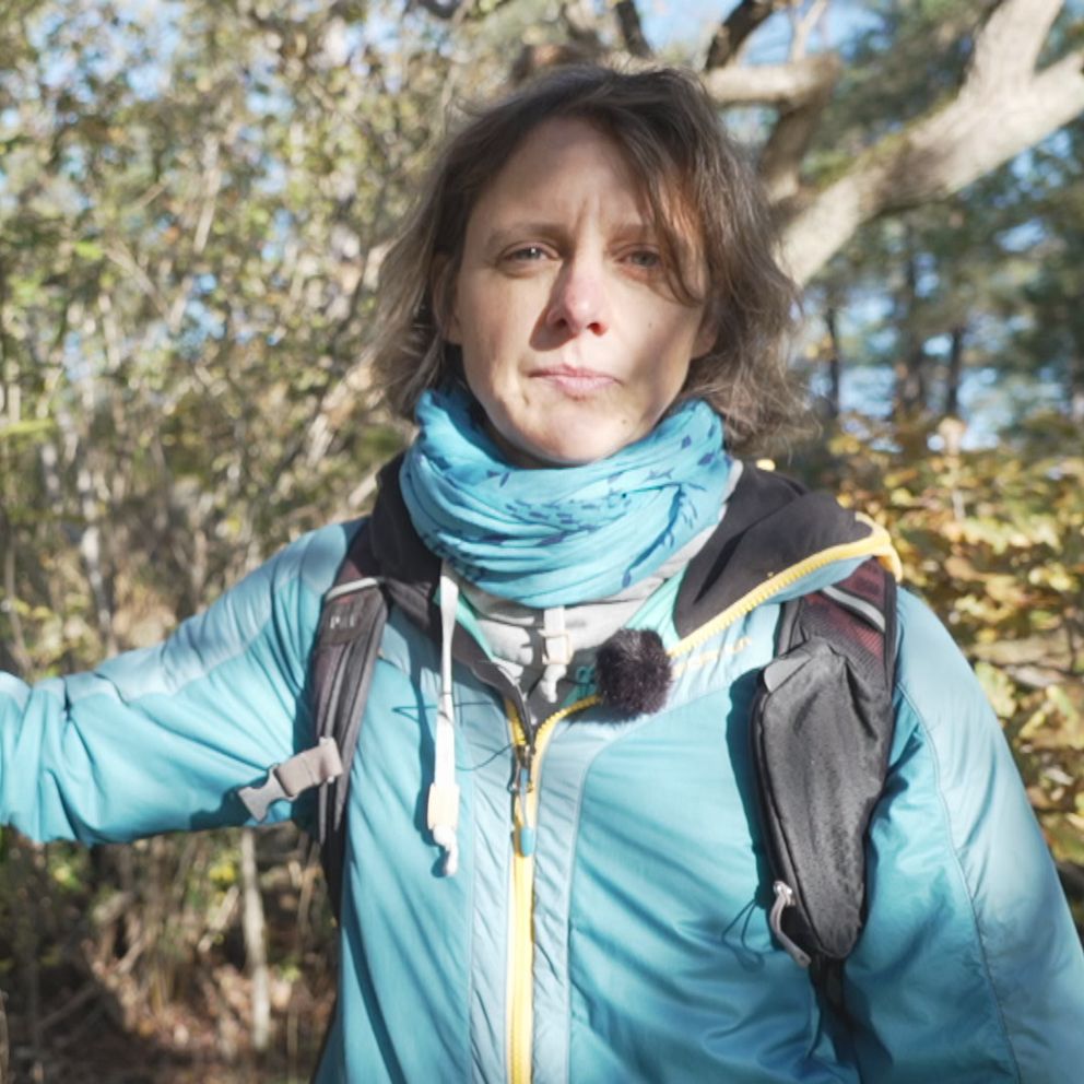 upptäck hur vinterviken skyddas och bevaras för framtiden. läs om området, dess unika natur och åtgärder för att skydda miljön. lär dig mer om vintervikens betydelse för både natur och invånare.